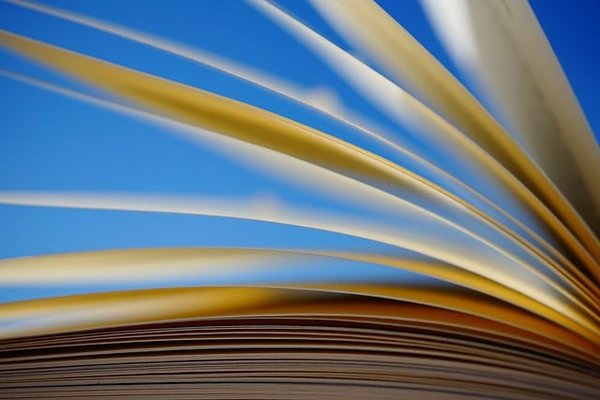 Comment intégrer l'enseignement bilingue dans le curriculum ?